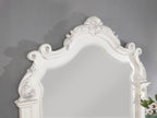 Miroir traditionnel Esparanza blanc perle, modèle CM7478WH-M, de Furniture of America