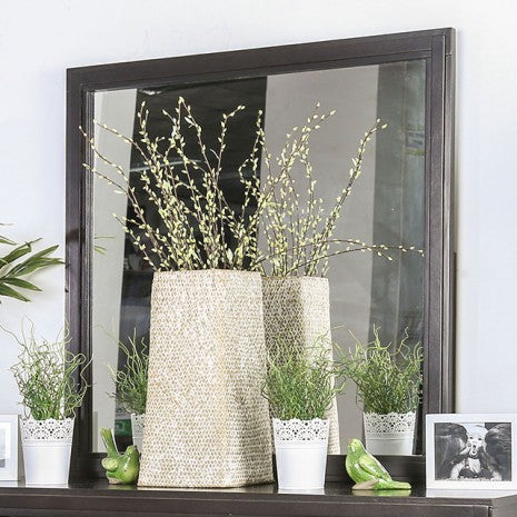 Miroir de style transitionnel Berenice Espresso de Furniture of America, modèle CM7580EX-M