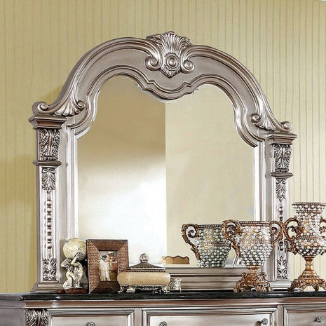 Miroir traditionnel Fromberg Champagne, modèle CM7670CPN-M, de Furniture of America