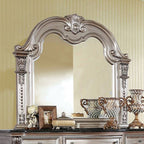Miroir traditionnel Fromberg Champagne, modèle CM7670CPN-M, de Furniture of America