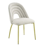 ACME Fadri Teddy Sherpa & Mirrored Gold Side Chair (Set-2) Model DN01953