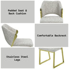 ACME Galdesa Teddy Sherpa & Mirrored Gold Side Chair (Set-2) Model DN02107