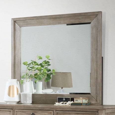 Miroir de style transitionnel Anneke gris chaud brossé de Furniture of America, modèle FOA7173M